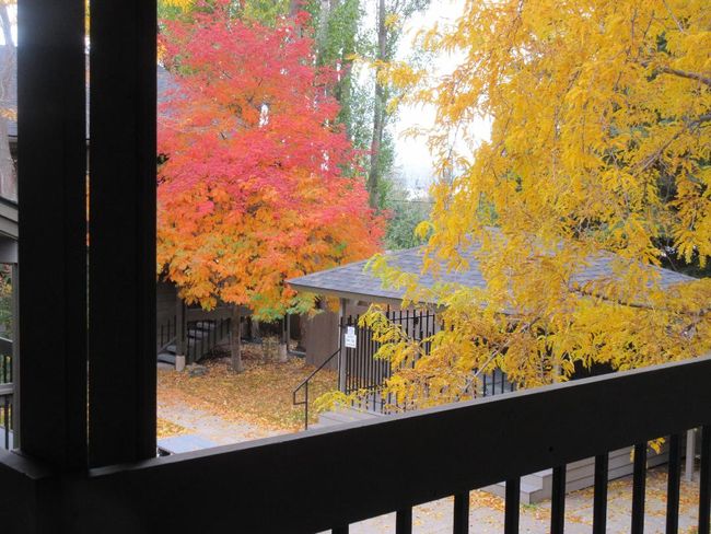 Views from the Living Room Window - Montana Fall | Image 19
