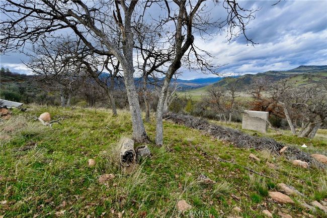 0 Rooster Pl, Home with 0 bedrooms, 0 bathrooms and null parking in Hornbrook CA | Image 21