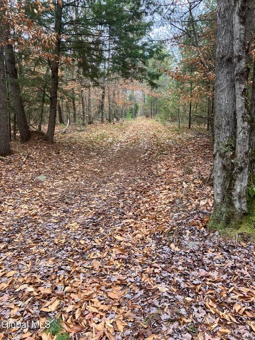 0 Scofield Rd, Lake Luzerne, NY, 12846 | Card Image