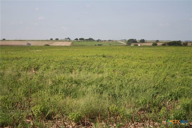4 - TBD Gooseneck Road, Home with 0 bedrooms, 0 bathrooms and null parking in Bartlett TX | Image 8