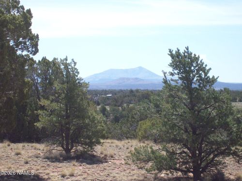 1650 S Kaibab Rd, Williams, AZ, 86046 | Card Image