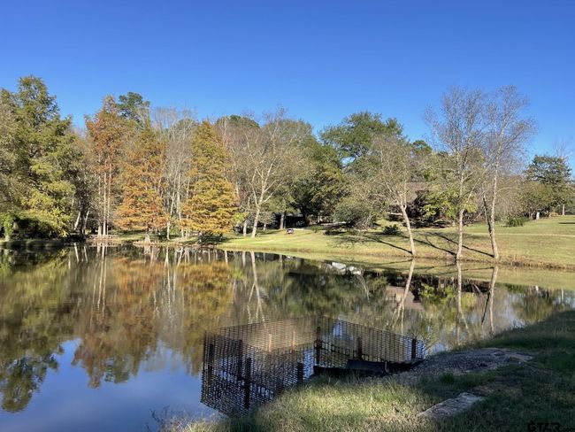 22233 County Road 223, House other with 4 bedrooms, 3 bathrooms and null parking in Arp TX | Image 30