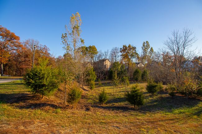 2733 Prestwick Ct, Home with 0 bedrooms, 0 bathrooms and null parking in Kingsport TN | Image 6
