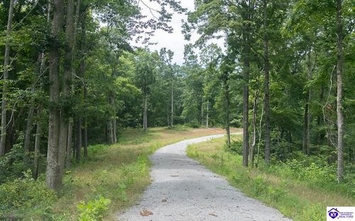 Tract 14 Cook Lane, Cromwell, KY, 42333 | Card Image