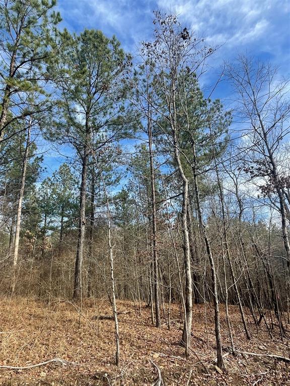 Land in Broken Bow 3