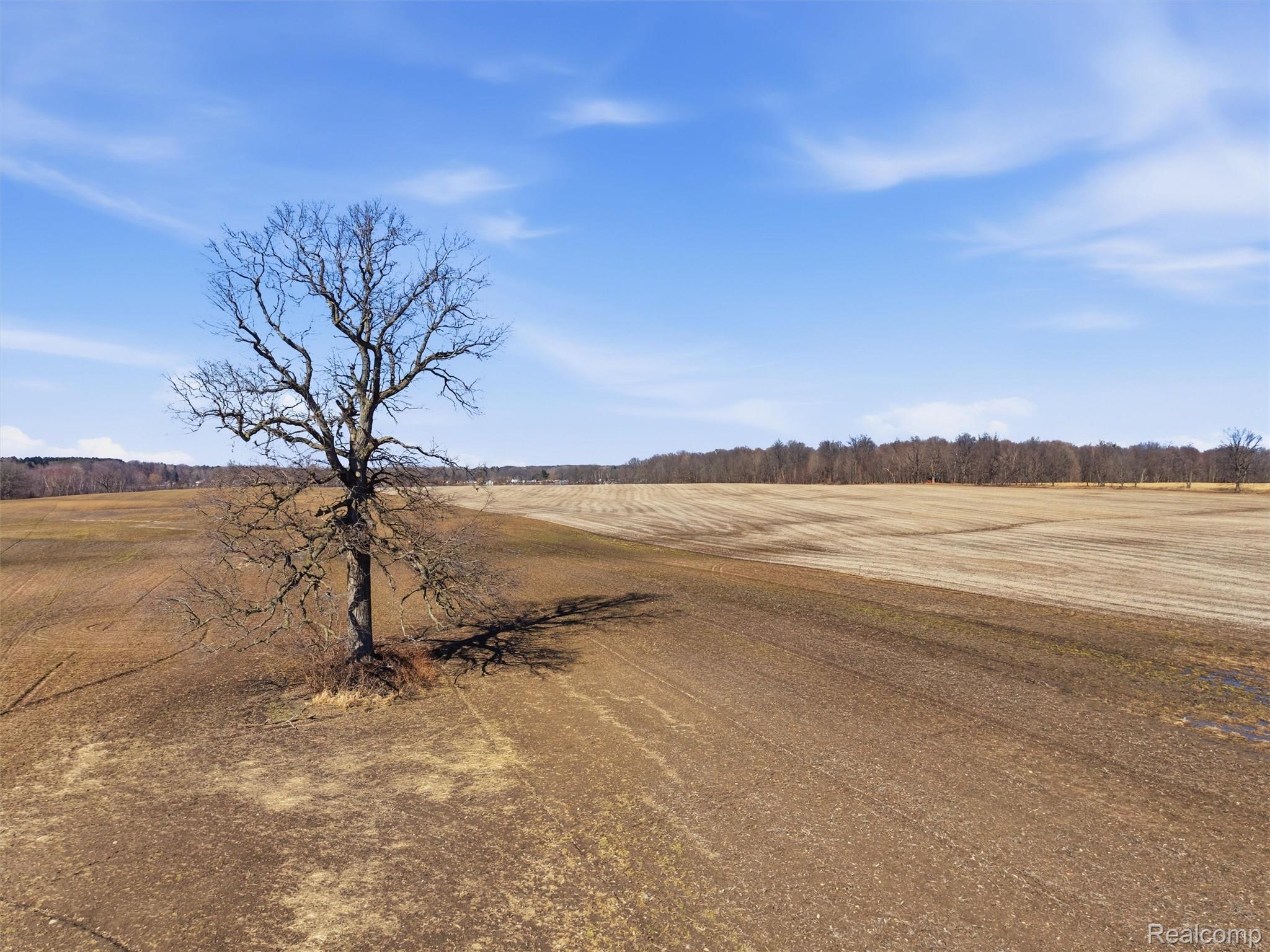 Land in Attica Township 4