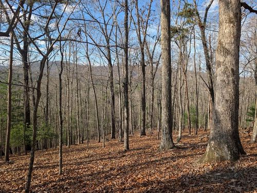 902 Mountain Top Dr, Murphy, NC, 28906-9704 | Card Image