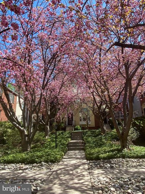 78-4833 Willett Pkwy, CHEVY CHASE, MD, 20815-6401 | Card Image