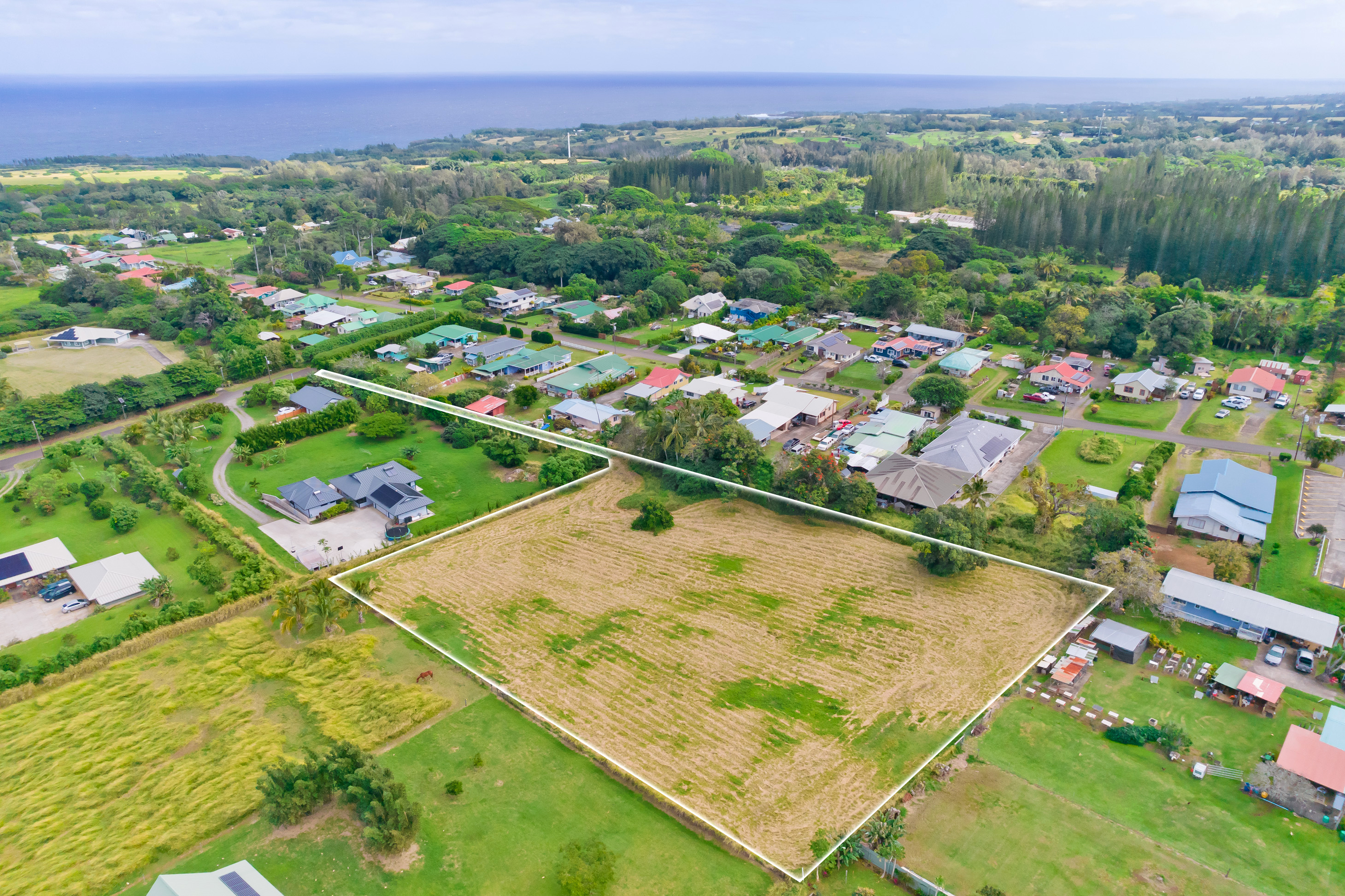 Land in Kapaau