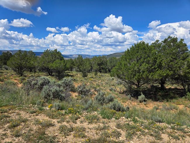 Unit 10 Tract 243 El Vado Lake Subd., Home with 0 bedrooms, 0 bathrooms and null parking in Tierra Amarilla NM | Image 5