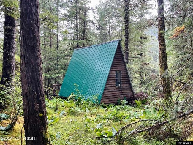 252 1A Snoose C Whale Pass Road, House other with 1 bedrooms, 0 bathrooms and null parking in Whale Pass AK | Image 7