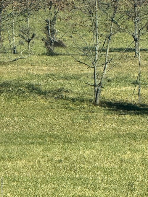 41 Enright Ln, Montgomery, NY, 12549-2002 | Card Image