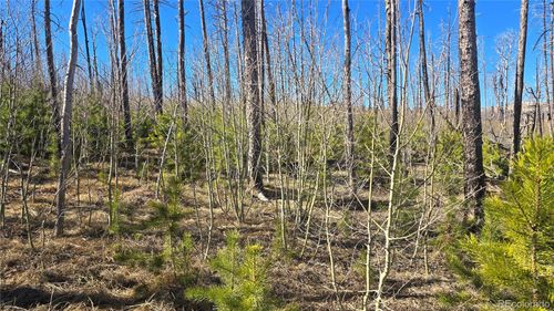 Lot 1470 Von Heyl Ln, Fort Garland, CO, 81133-8005 | Card Image