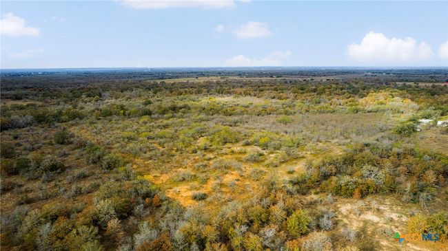 2124 Bugtussle Ln, Home with 0 bedrooms, 0 bathrooms and null parking in Luling TX | Image 19