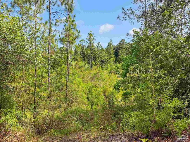 6640 Frank Reeder Rd, House other with 3 bedrooms, 2 bathrooms and 1 parking in Pensacola FL | Image 37