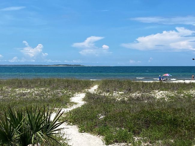 117 Atlantic St, Home with 0 bedrooms, 0 bathrooms and null parking in Port St. Joe FL | Image 9
