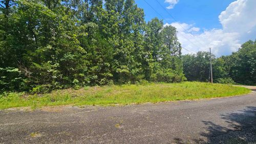 TBD Mineola Cir, Cherokee Village, AR, 72529 | Card Image
