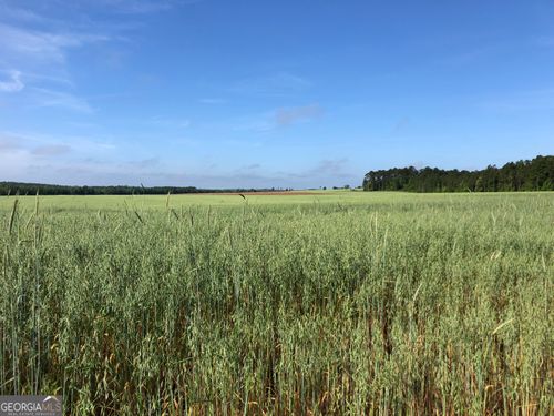 0 Main St, Chester, GA, 31012 | Card Image