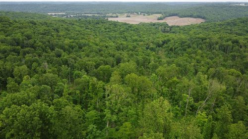 48 Acres Marvin Powell Road, Elkton, KY, 42220 | Card Image