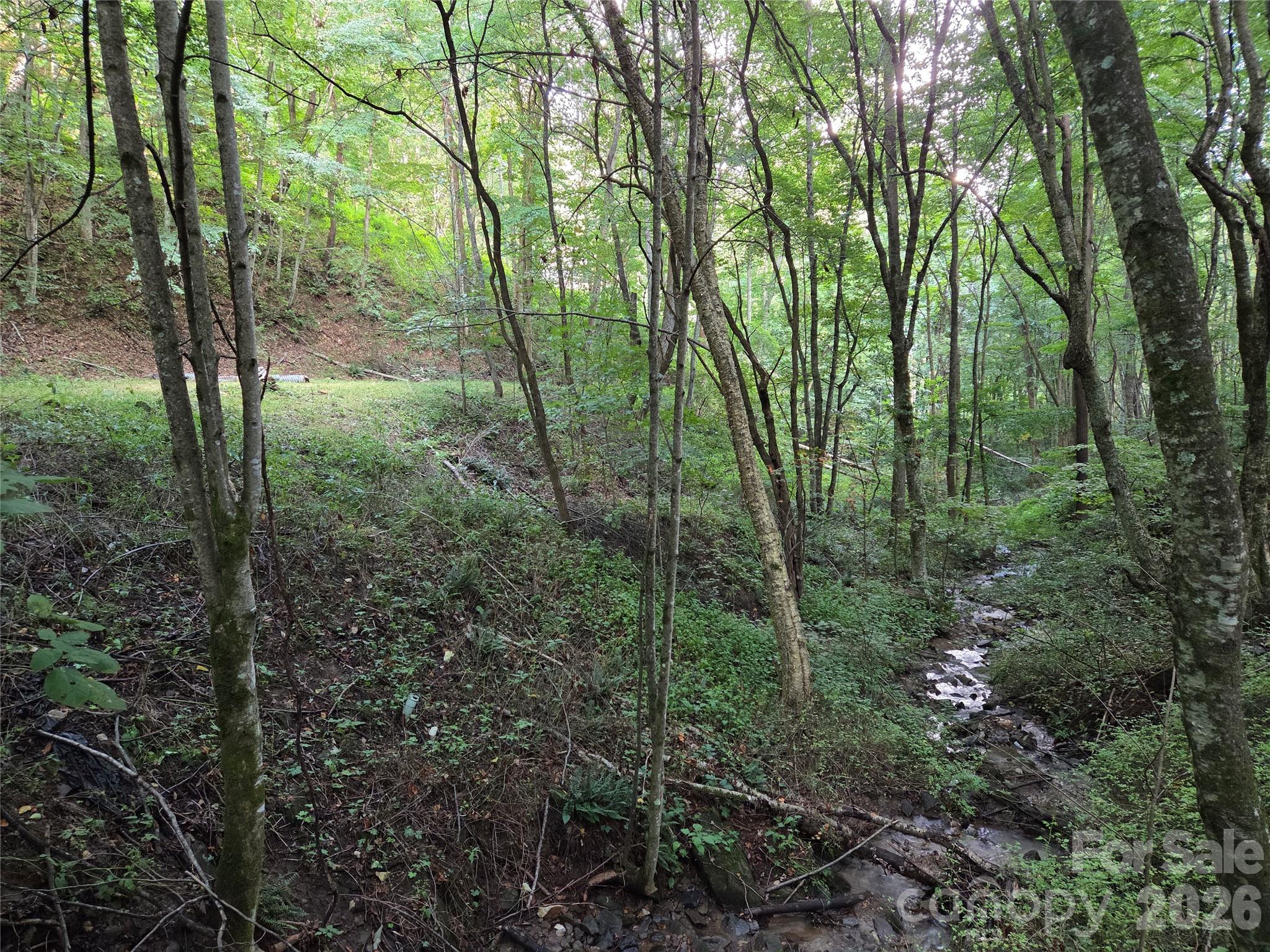 Land in Maggie Valley