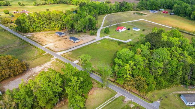 Drone / aerial view | Image 4