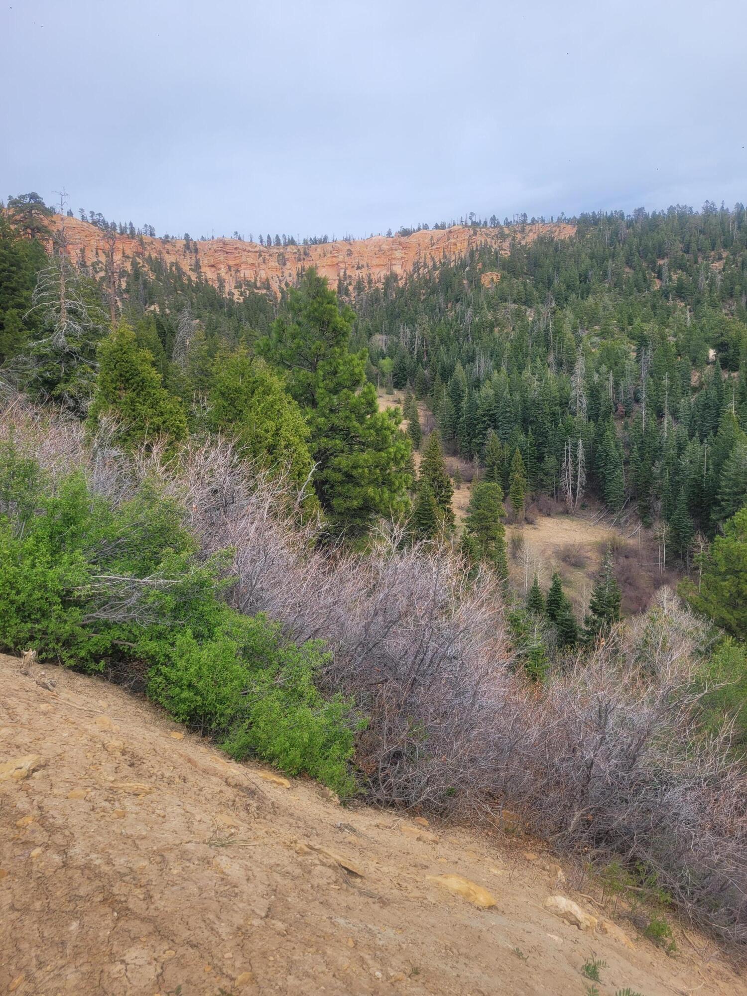 Land in Duck Creek Village 2
