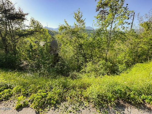 Lot 11 Pinnacle Vista Rd, Gatlinburg, TN, 37738 | Card Image