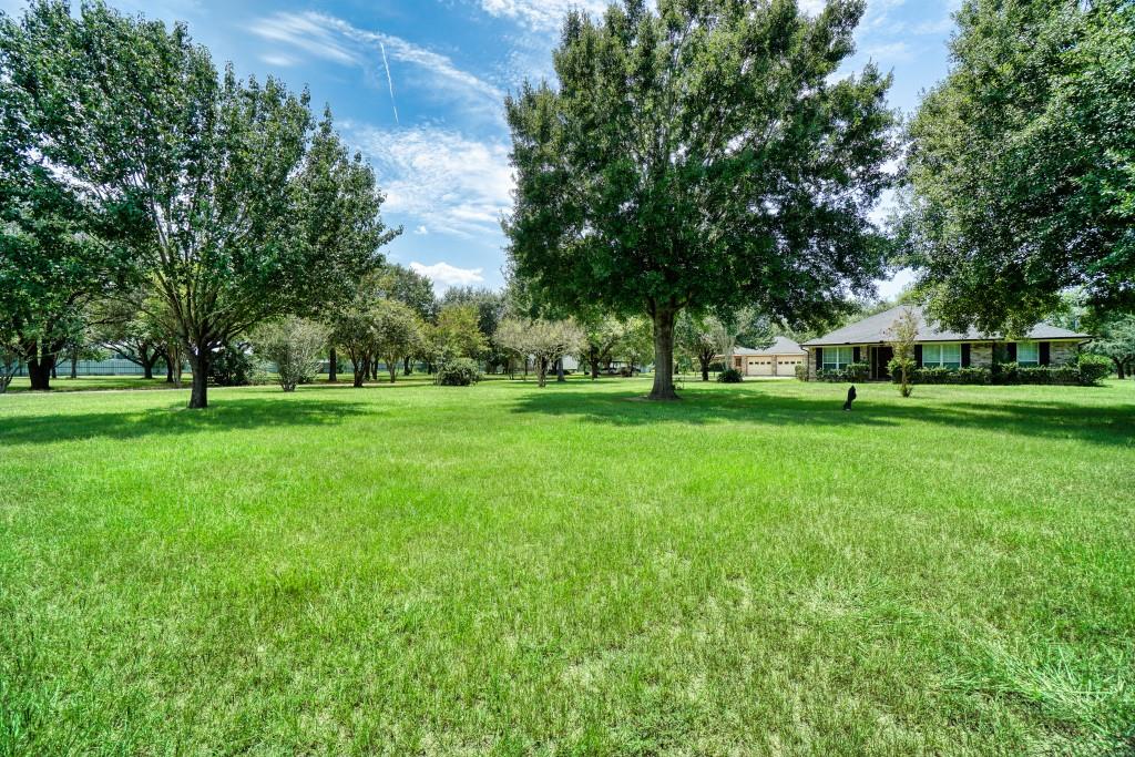 Farm in Katy 4