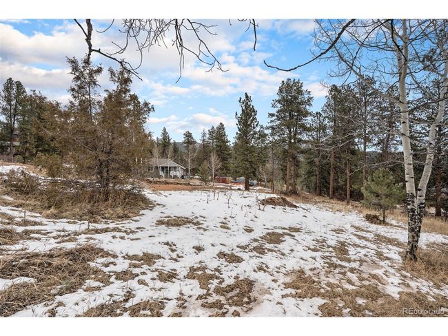 12362 S Polly Dr, Home with 0 bedrooms, 0 bathrooms and null parking in Pine CO | Image 11