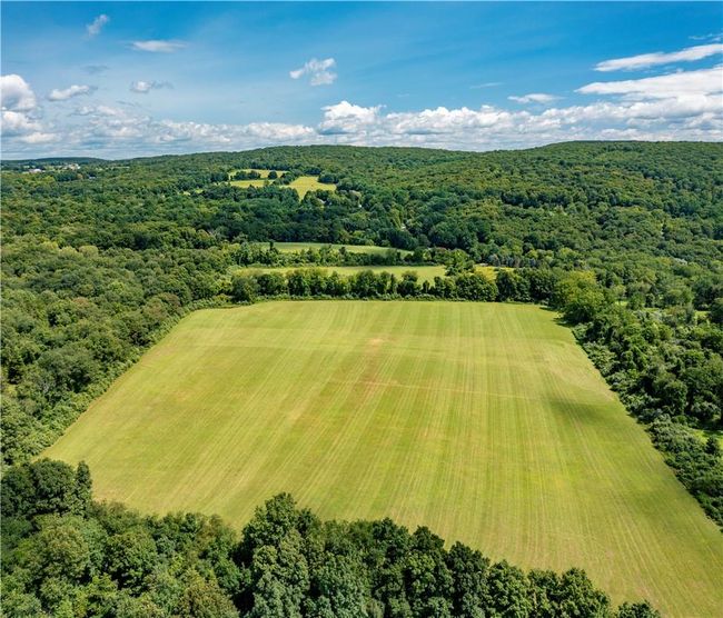 Looking east across the parcel. | Image 6