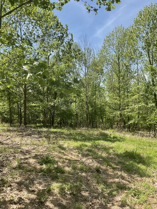 98 Saddleback Drive, Dover, TN, 37058 | Card Image