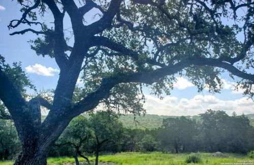 12033 Summer Mdws, Spring Branch, TX, 78070-7042 | Card Image