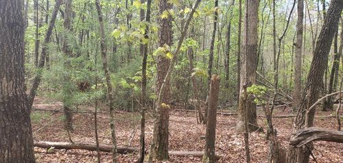 36 & 38 Squirrel Hunting Rd, Ellijay, GA, 30536 | Card Image