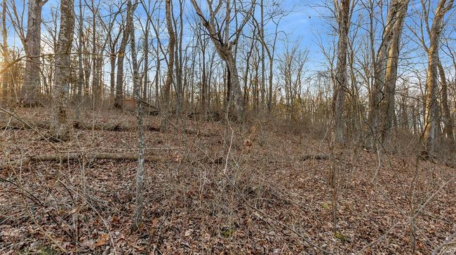 0 Highway M, Home with 0 bedrooms, 0 bathrooms and null parking in Villa Ridge MO | Image 15