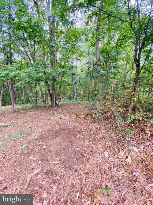 LOT 294 Cottonwood Drive, MOUNT JACKSON, VA, 22842 | Card Image