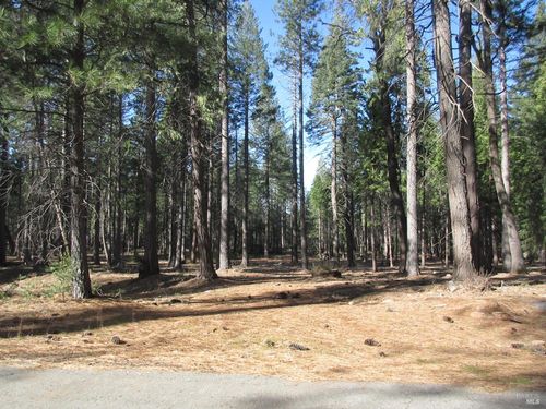 3 Acres Woodridge Drive, Shingletown, CA, 96088 | Card Image