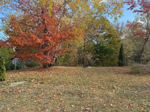 Vacant Lot John Street N, Gravenhurst, ON, P1P1C3 | Card Image