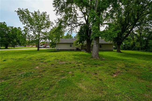 View of green lawn | Image 44