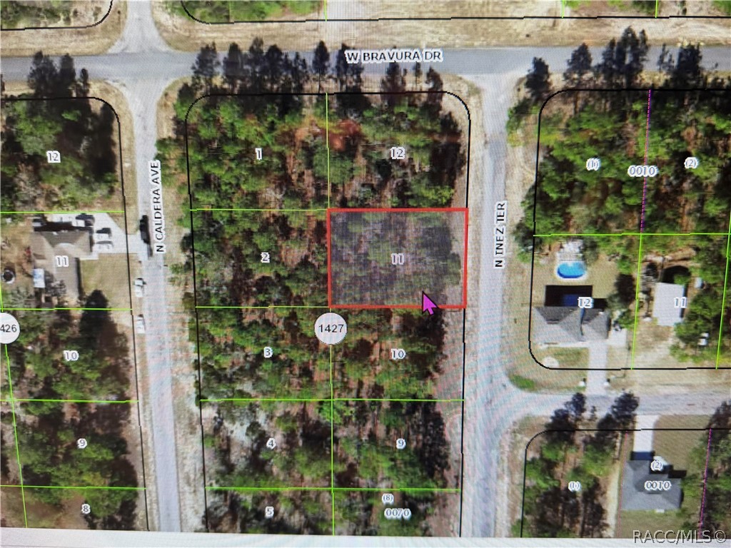 Land in Dunnellon 2