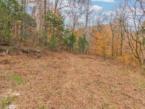 0 Ensor Hollow Rd, Buffalo Valley, TN, 38548 | Card Image