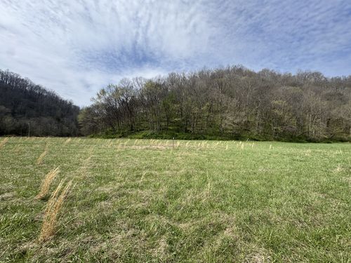 561 Pine Lick Rd, Whitleyville, TN, 38588-7321 | Card Image