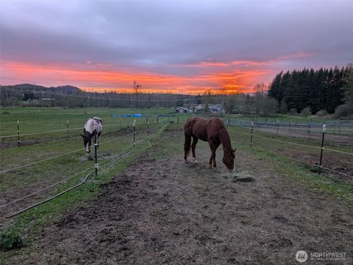 5334 Tenneson Rd, Sedro Woolley, WA, 98284-8235 | Card Image