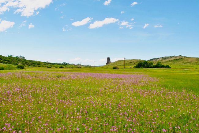 View of local wilderness featuring a rural view | Image 13