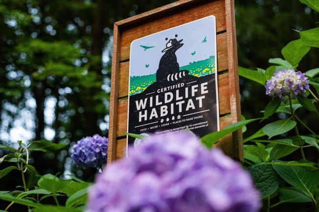 Nature Sign Small | Image 32