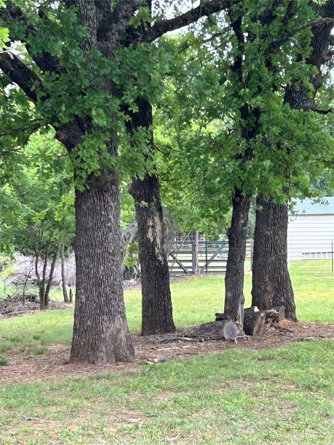 View of yard featuring fence | Image 19