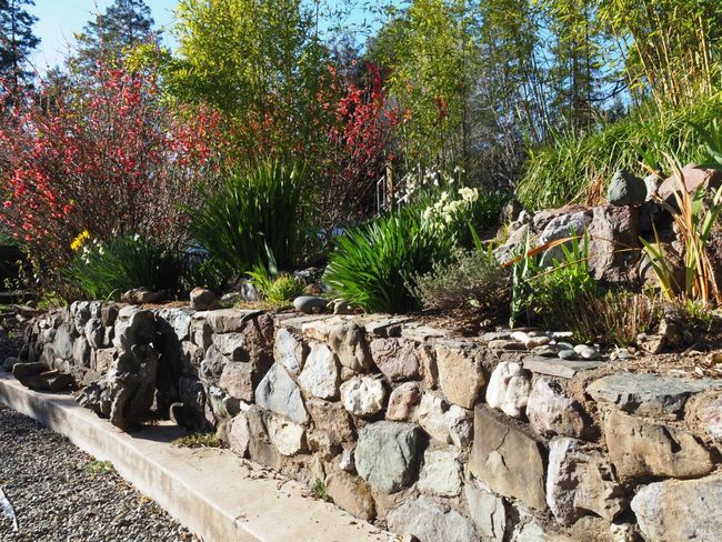 65401 Highway 271, House other with 5 bedrooms, 3 bathrooms and 5 parking in Leggett CA | Image 32
