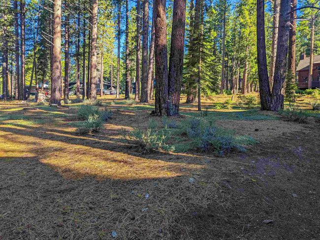 11561 Bottcher Loop, Home with 0 bedrooms, 0 bathrooms and null parking in Truckee CA | Image 4