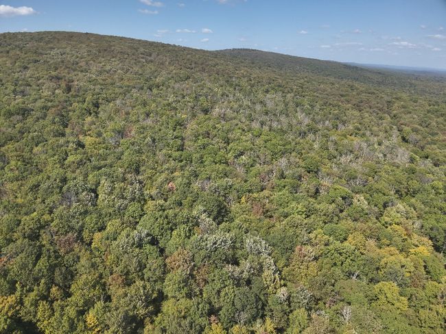 0 Forest Rd, Home with 0 bedrooms, 0 bathrooms and null parking in Boswell PA | Image 14