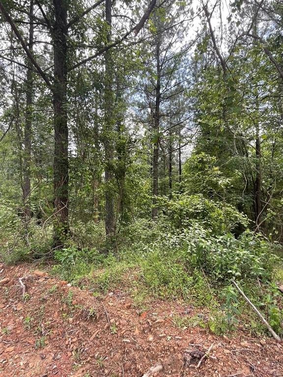 Land in Broken Bow 2