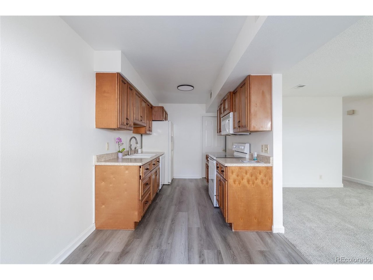 Residential in Denver 5